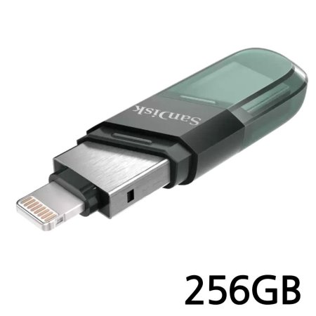 USB ÷ ̺ iXpand Flip SDIX90N 256GB