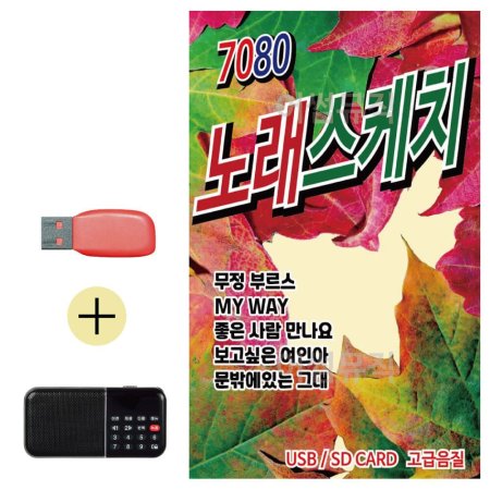 ȿ + USB 7080 뷡ġ